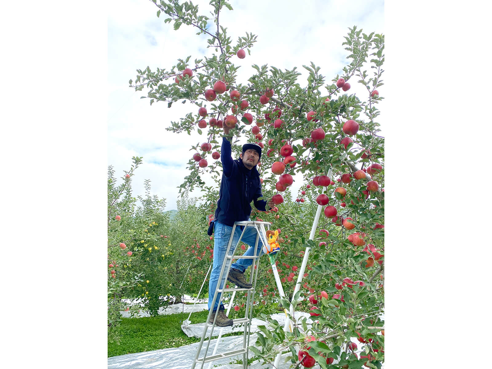 山ノ内町の岡田さん