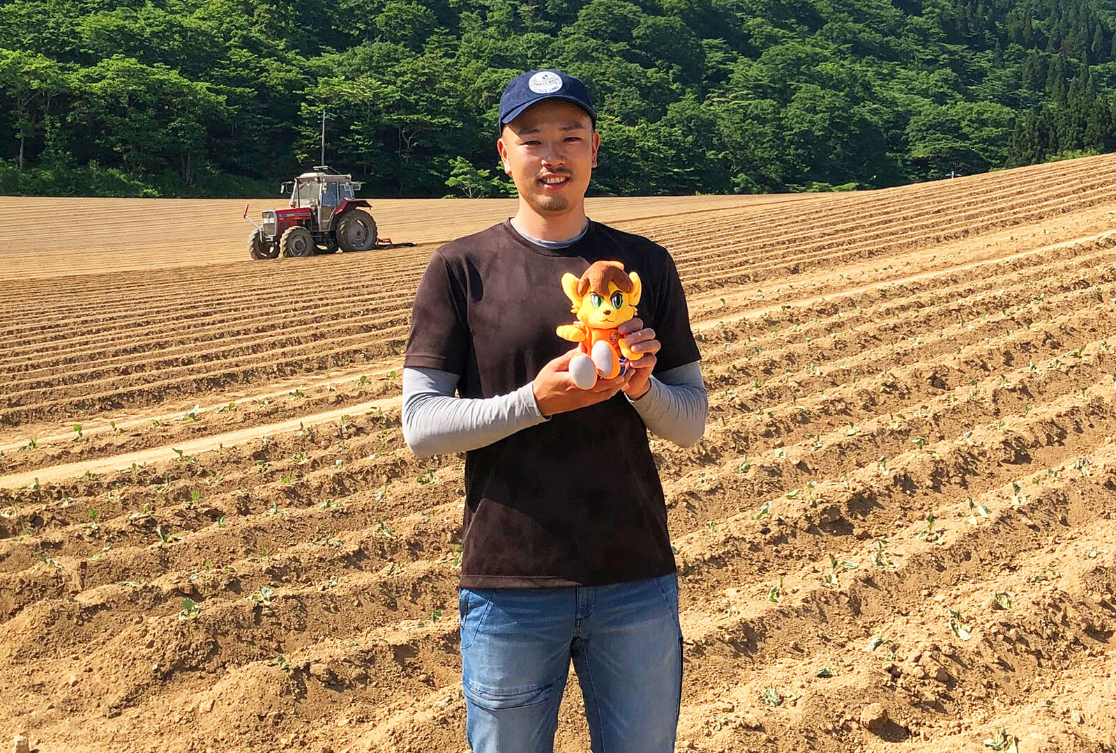 雲海広がる高原育った天海キャベツの山田さん