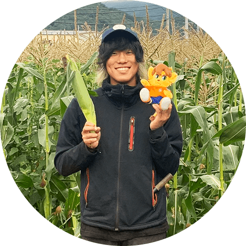 原科さんのみらい・とうもろこし