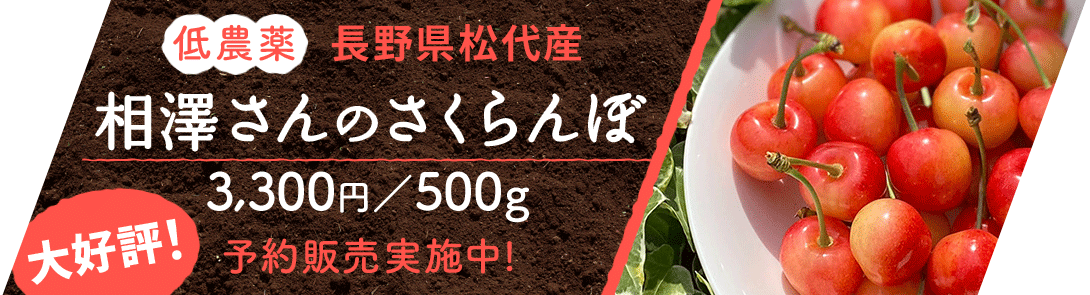 パルシェ